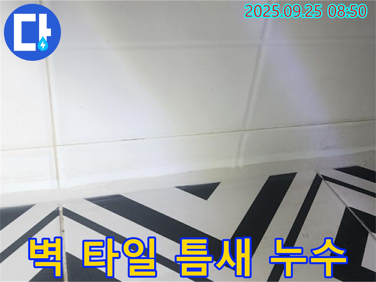 양주시 백석읍 오산리 벽 타일 틈새 누수 - 누수탐지부터 완벽 차단까지!