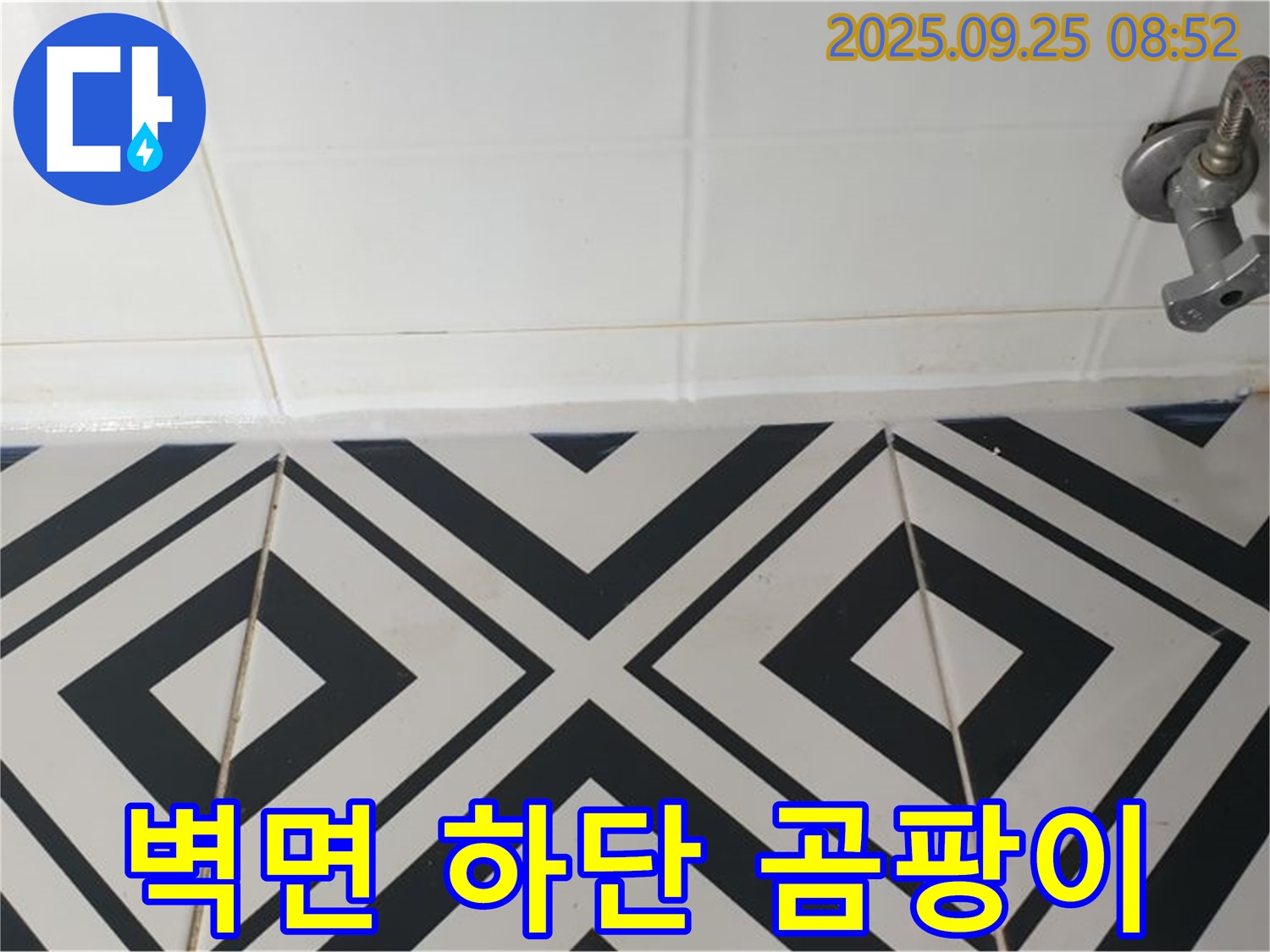 양주시 백석읍 오산리 욕실 - 벽면 하단 타일에 곰팡이가 발생한 모습으로 누수 경로를 추적하고 있습니다.