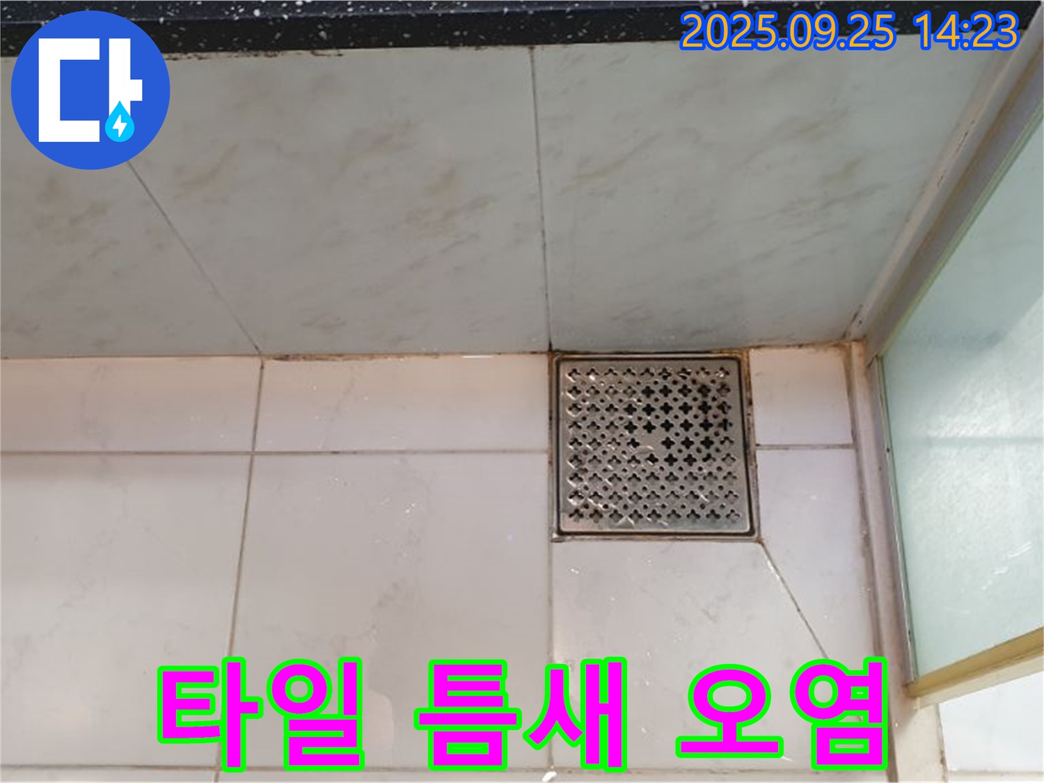 샤워기 수전 주변 타일 틈새 오염 - 곰팡이 확인
