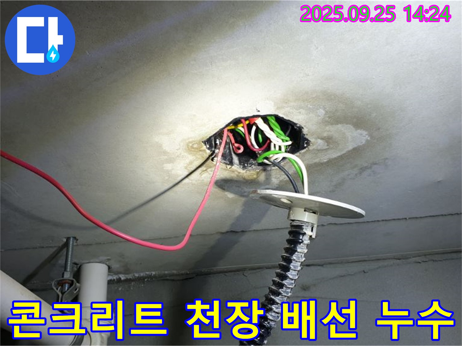의정부1동 누수탐지 - 콘크리트 천장 배선 주변 누수 의심 부위 정밀 진단