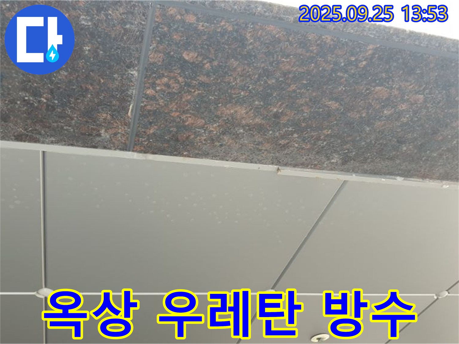 의정부시 의정부2동 건물 옥상 우레탄 방수 - 꼼꼼한 시공으로 누수 걱정 싹!