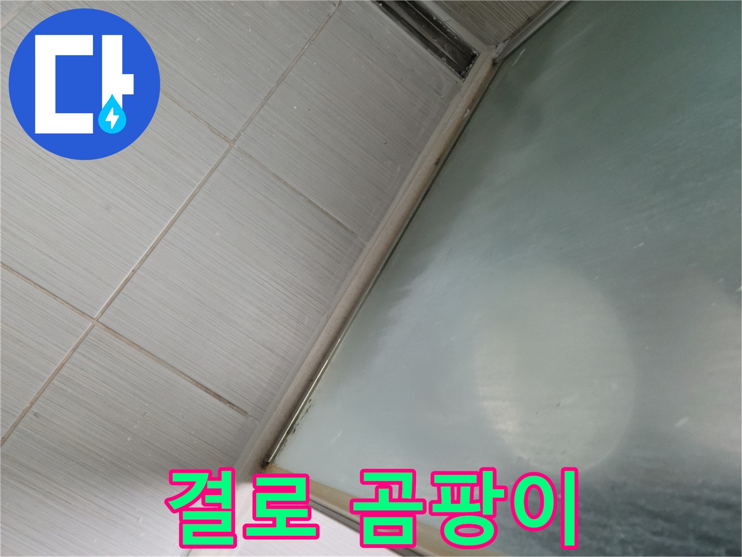 동두천 강변로 결로로 인한 곰팡이 발생 - 누수 가능성 점검 - 누수 전문가의 정확한 진단