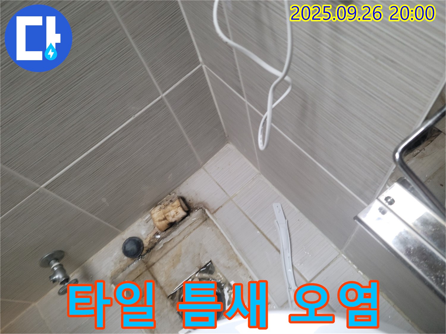 동두천 누수 - 변기 주변 타일 틈새 오염 확인 - 곰팡이 서식