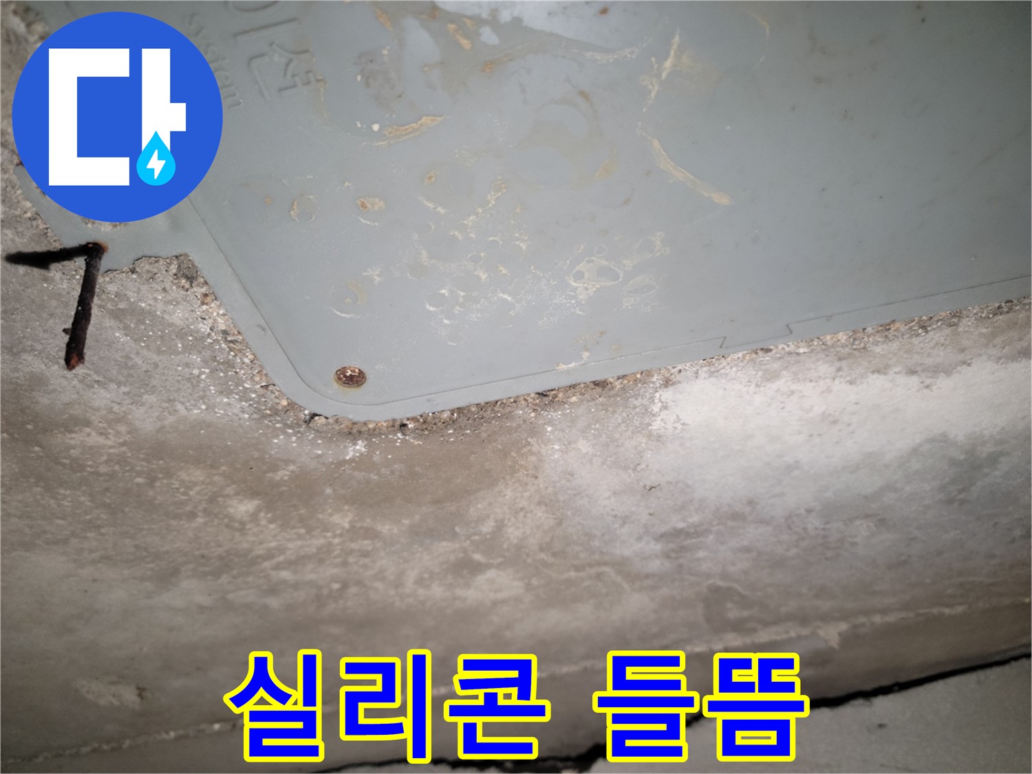 동두천 누수 - 생연동 점검구 주변 실리콘 들뜸 - 방수 기능 저하