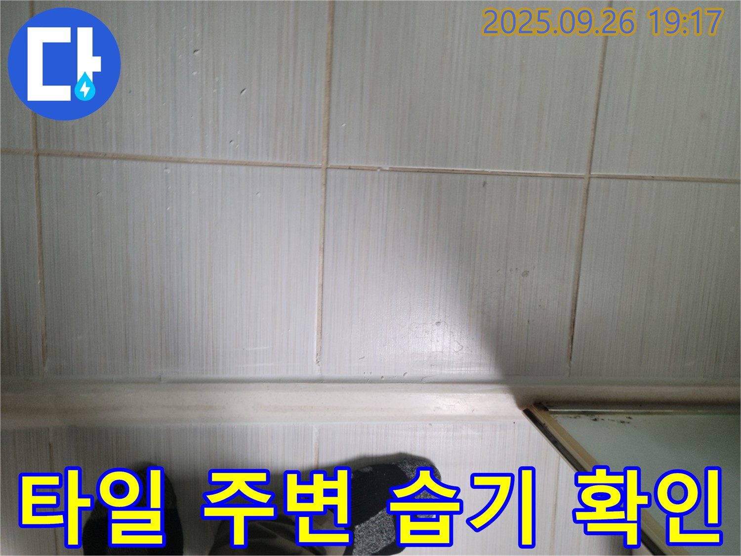 동두천 누수 탐지 - 타일 주변의 습기 상태를 확인하여 누수 여부를 판단하고 있습니다.