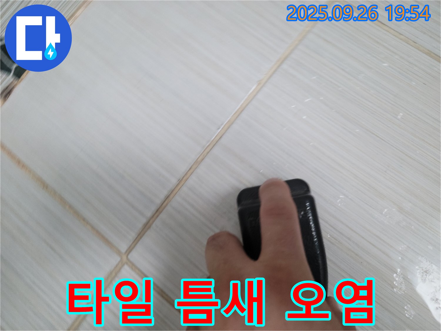 동두천 누수탐지 - 타일 틈새 오염 점검 - 꼼꼼한 점검으로 누수 원인 발견