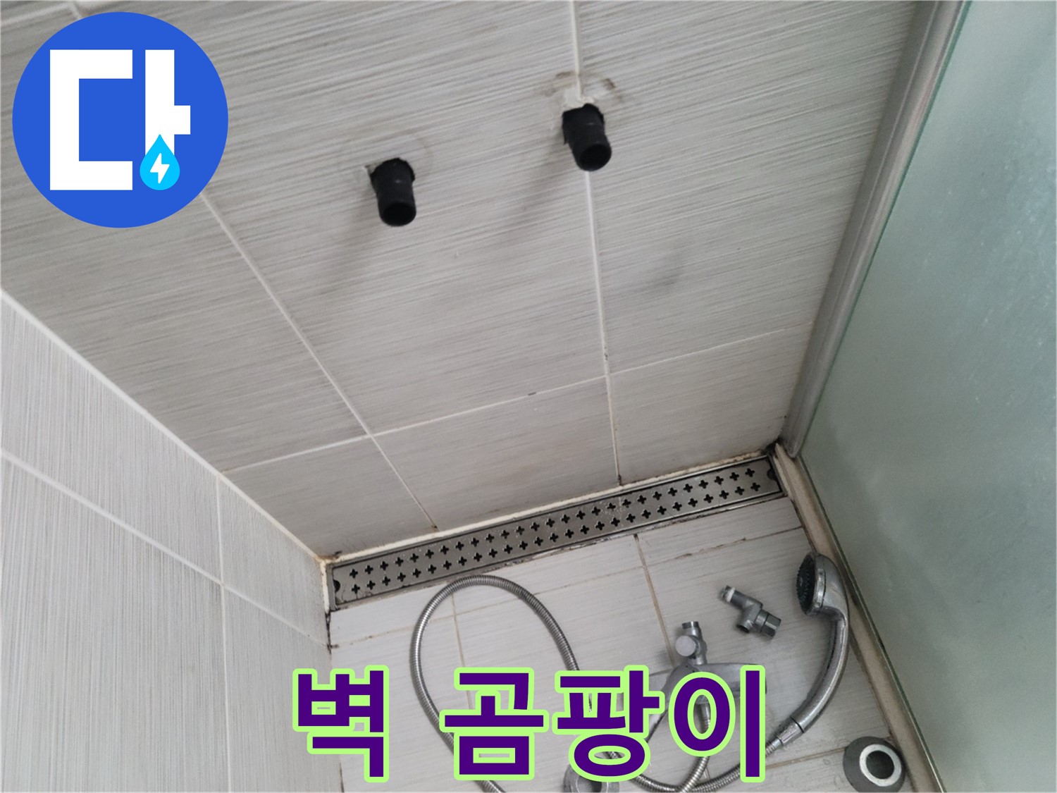 동두천 신창동 - 샤워기 주변 벽 곰팡이 상태 - 벽 곰팡이, 건강을 위협하는 존재!