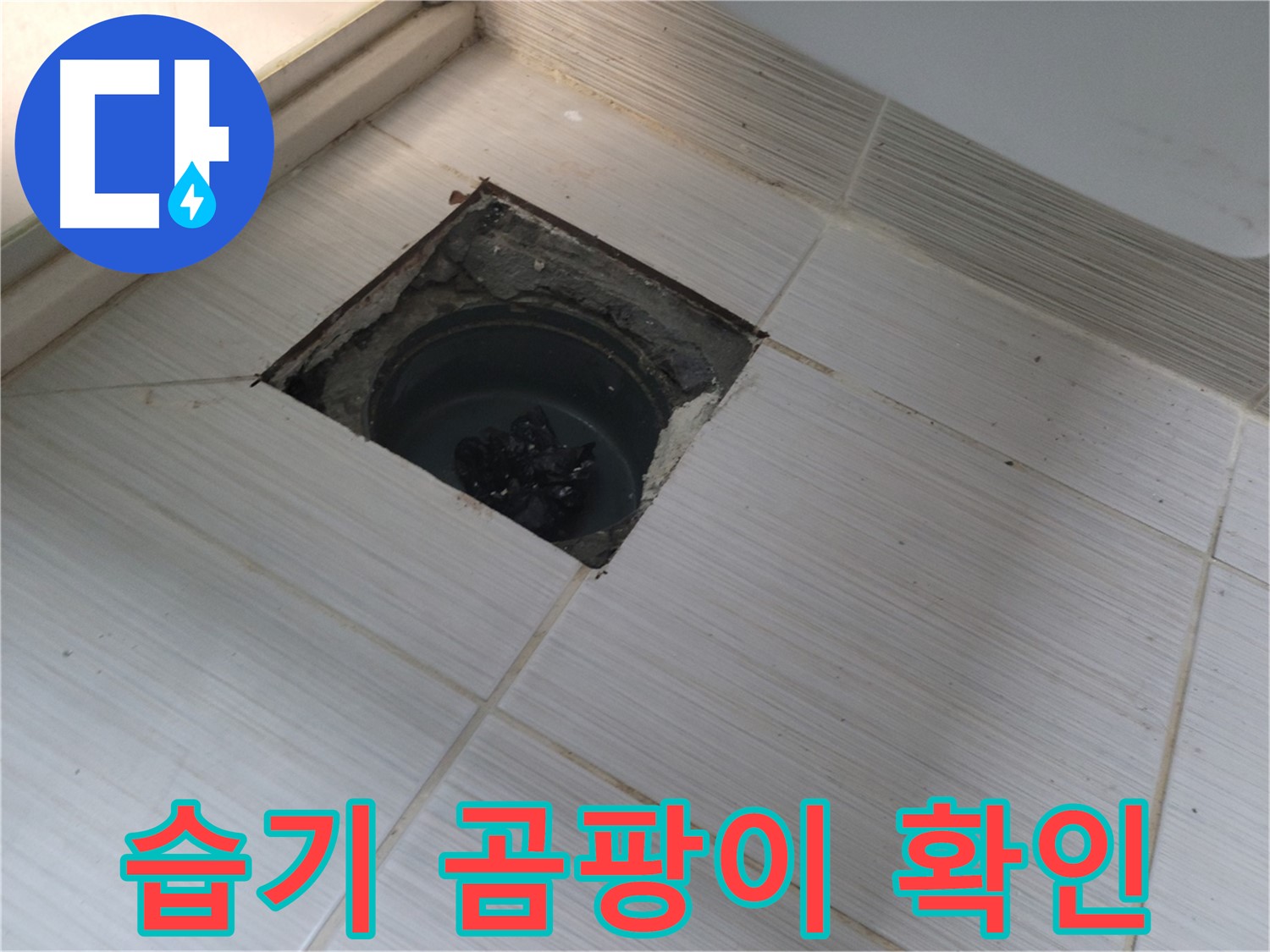 동두천 신창비바패밀리 욕실 누수 점검 - 습기 및 곰팡이 발생 확인