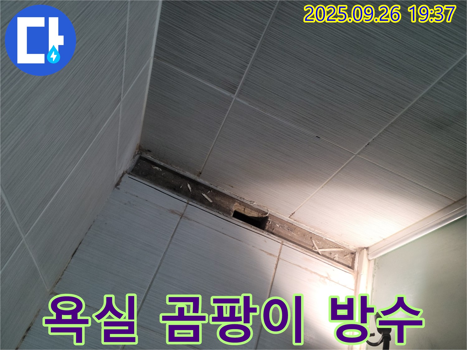 동두천 욕실 곰팡이 제거 - 완벽한 방수 공사로 누수 문제 해결