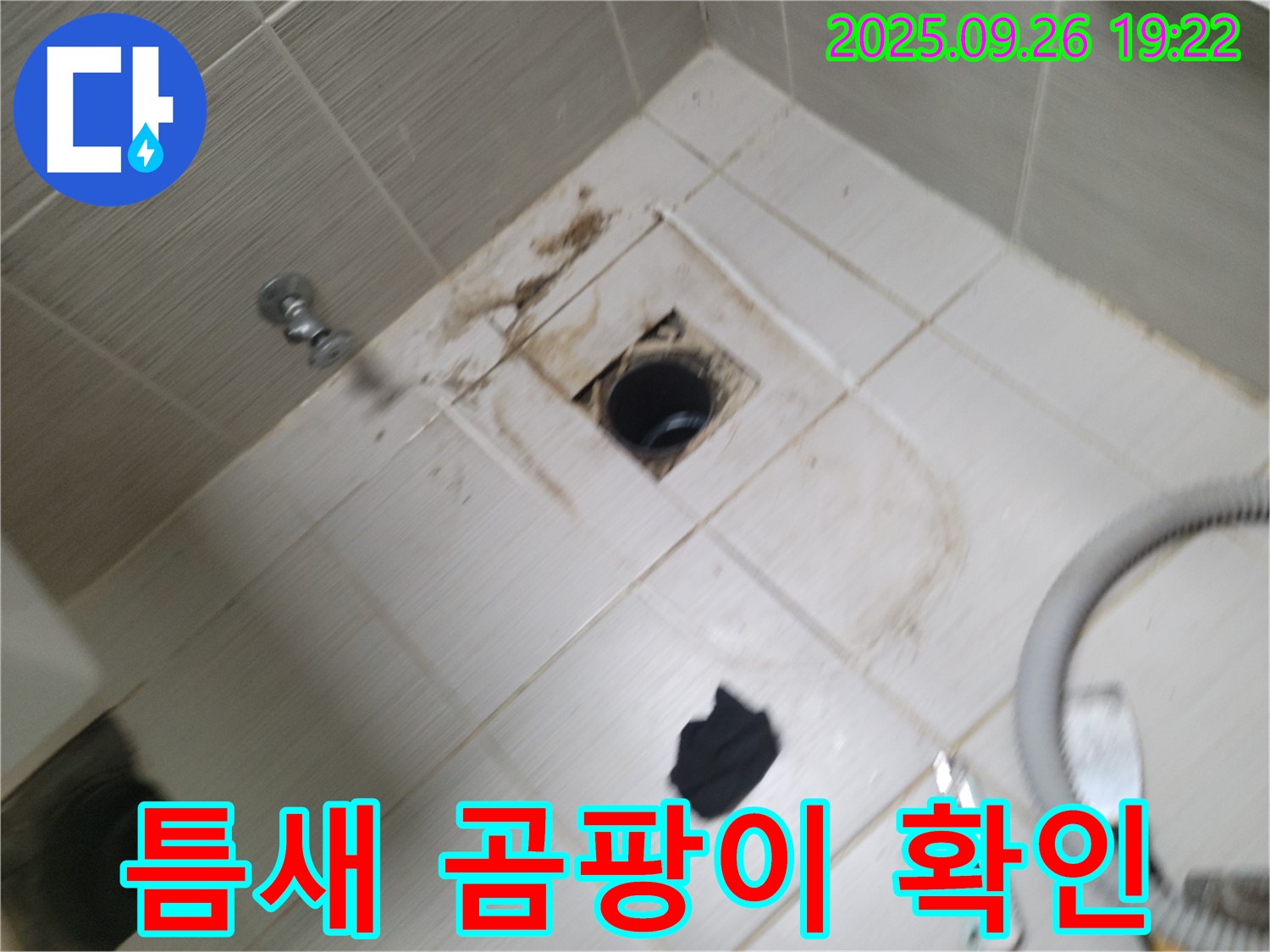 동두천 욕실 누수 - 배수구 주변 타일 틈새 곰팡이, 누수 신호 여부 확인