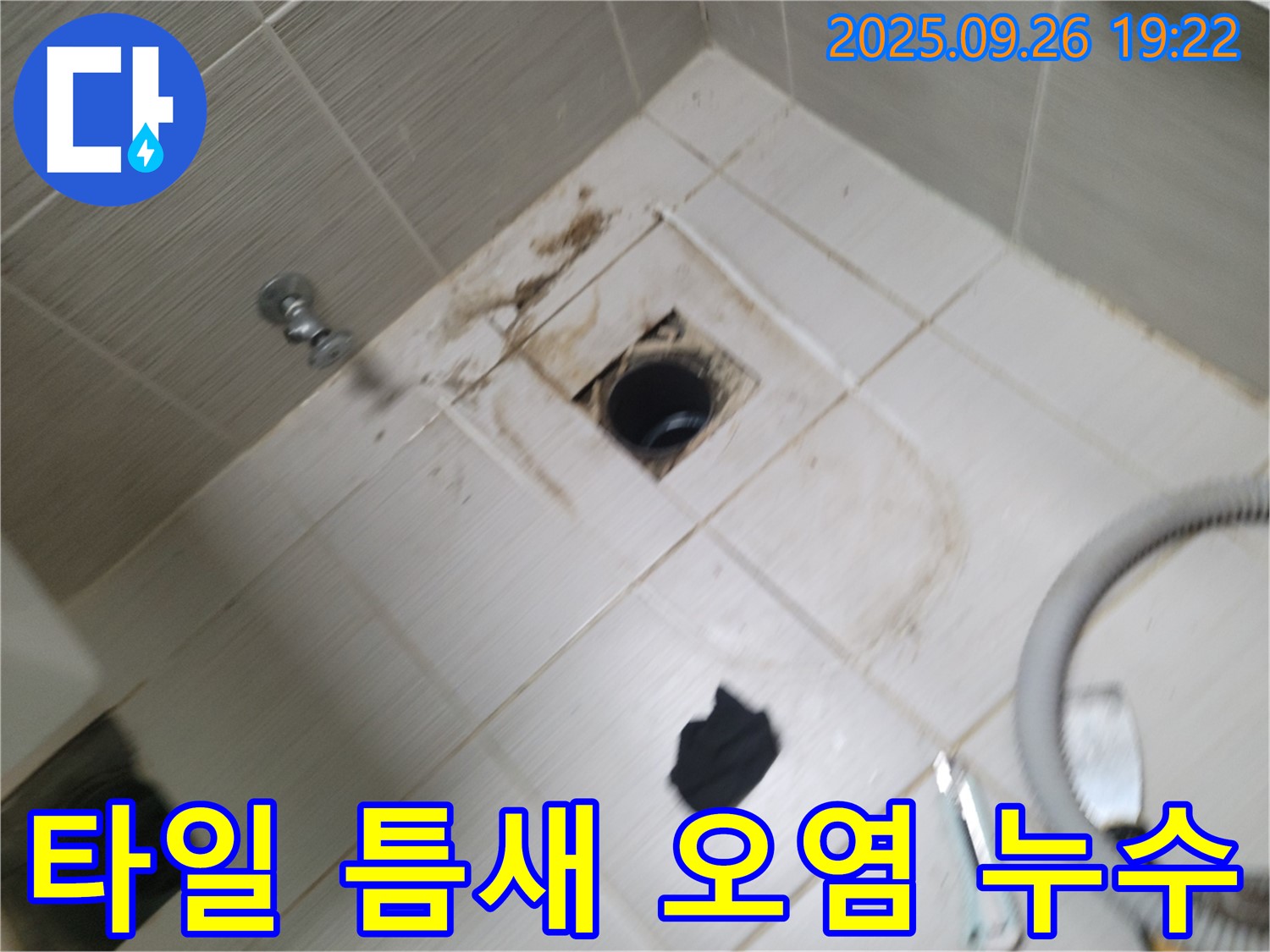 동두천 욕실 누수 - 배수구 주변 타일 틈새 오염, 누수 원인 가능성 정밀 점검