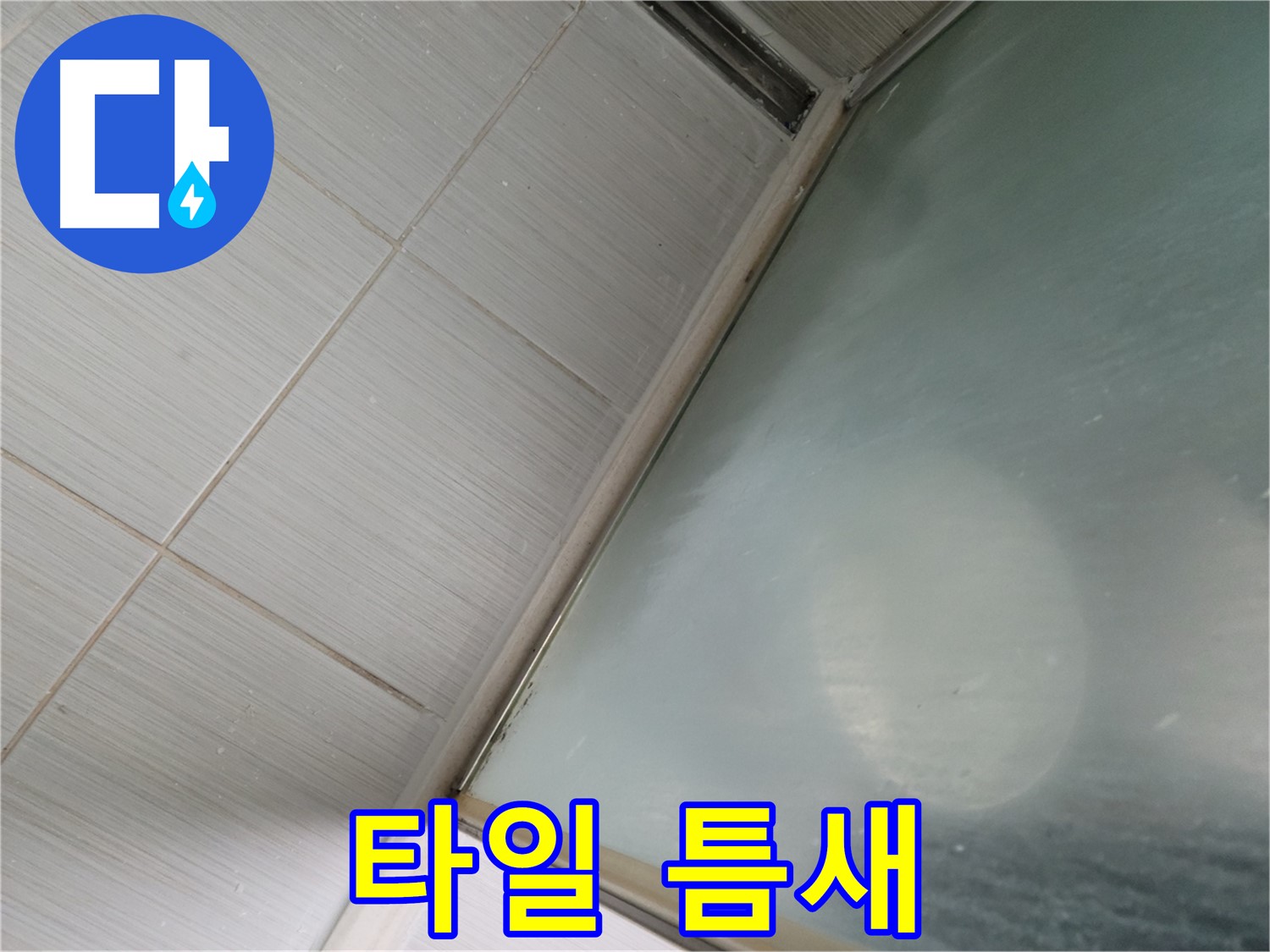 동두천시 강변로 샤워부스 하단 타일 틈새 오염 - 청소 및 코팅 작업 - 누수 전문가
