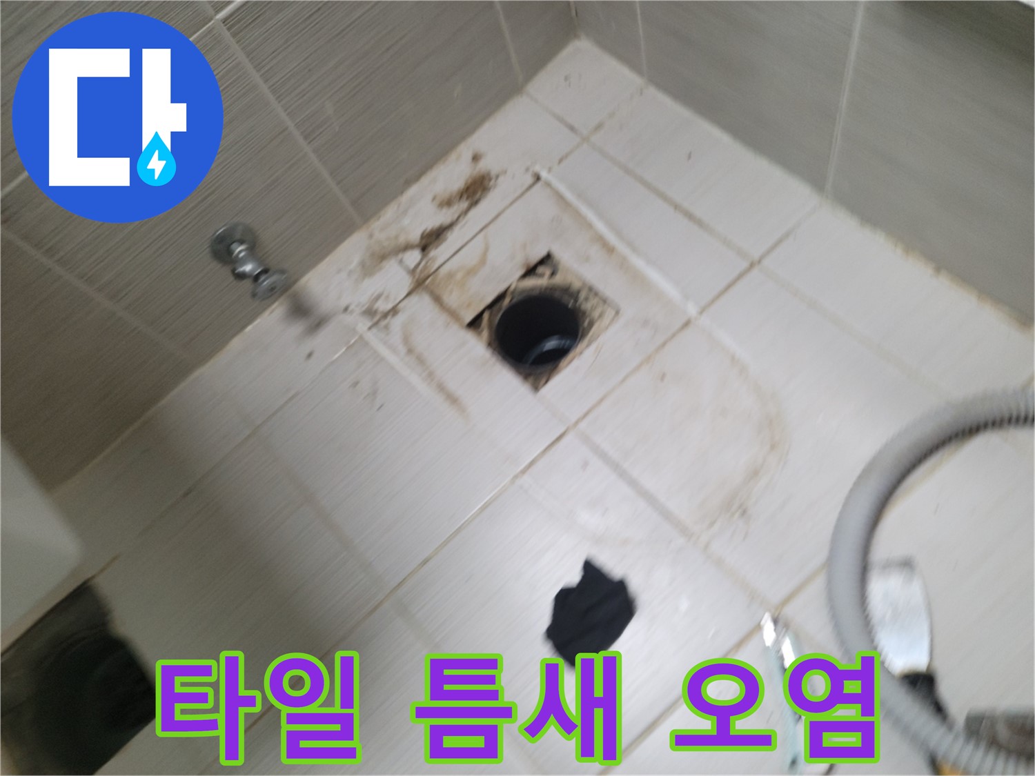 동두천시 불현동 - 욕실 하수구 주변 타일 틈새 오염 - 누수 의심