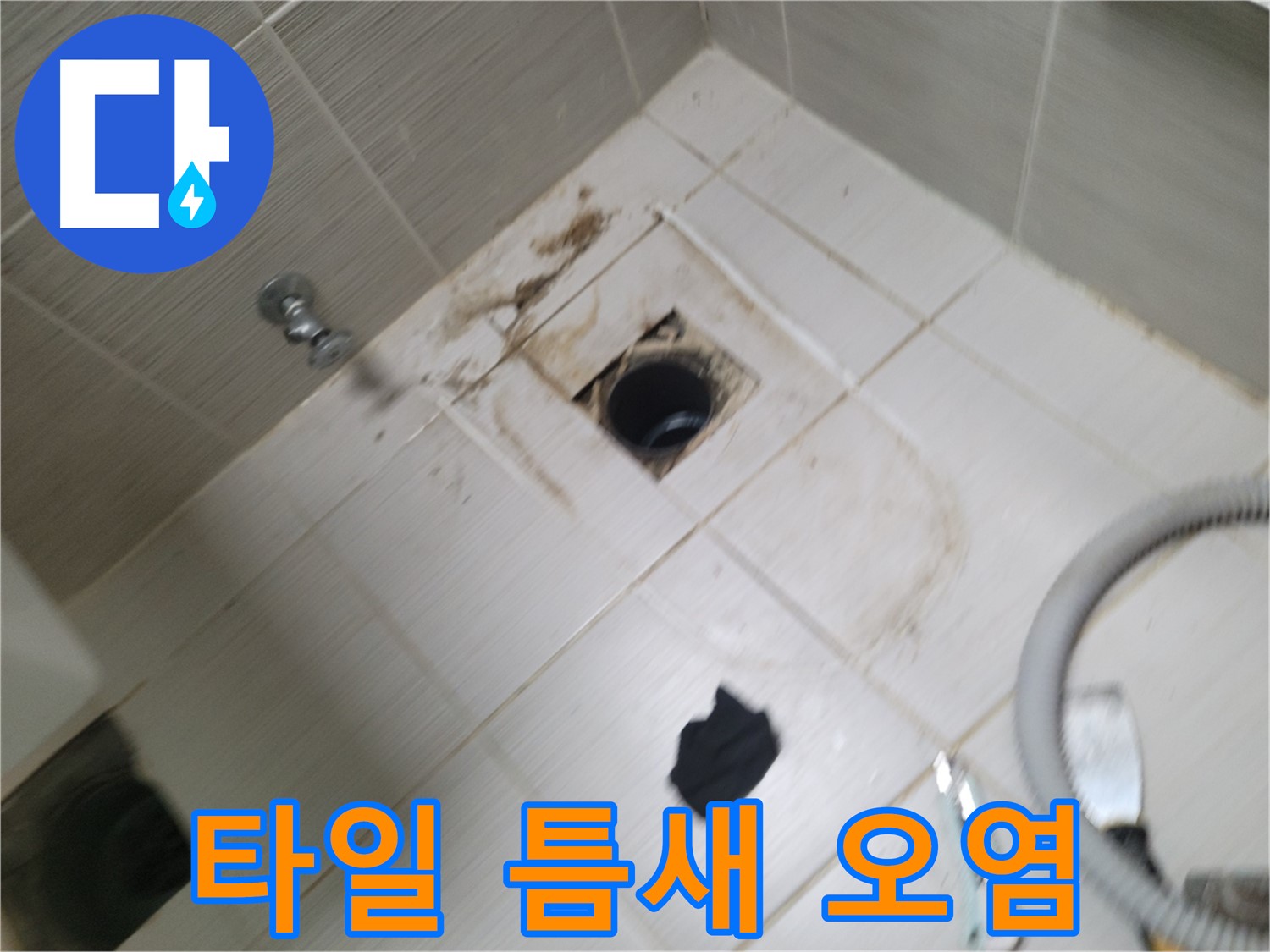 동두천시 송정동 - 하수구 주변 타일 틈새 오염 - 누수 의심