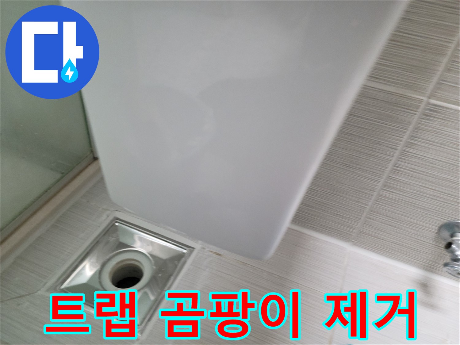 샤워기 트랩 주변 곰팡이 제거 - 누수 원인 해결 - 쾌적한 욕실 환경
