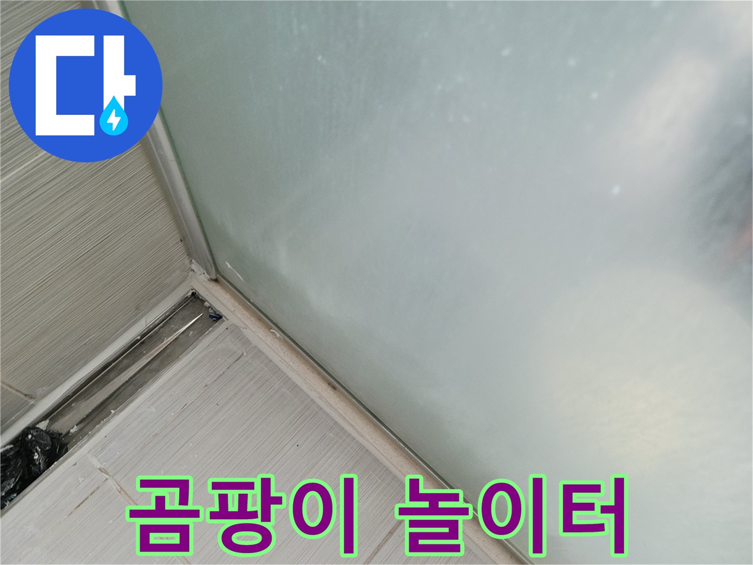 샤워부스 누수 - 곰팡이 놀이터 - 습기