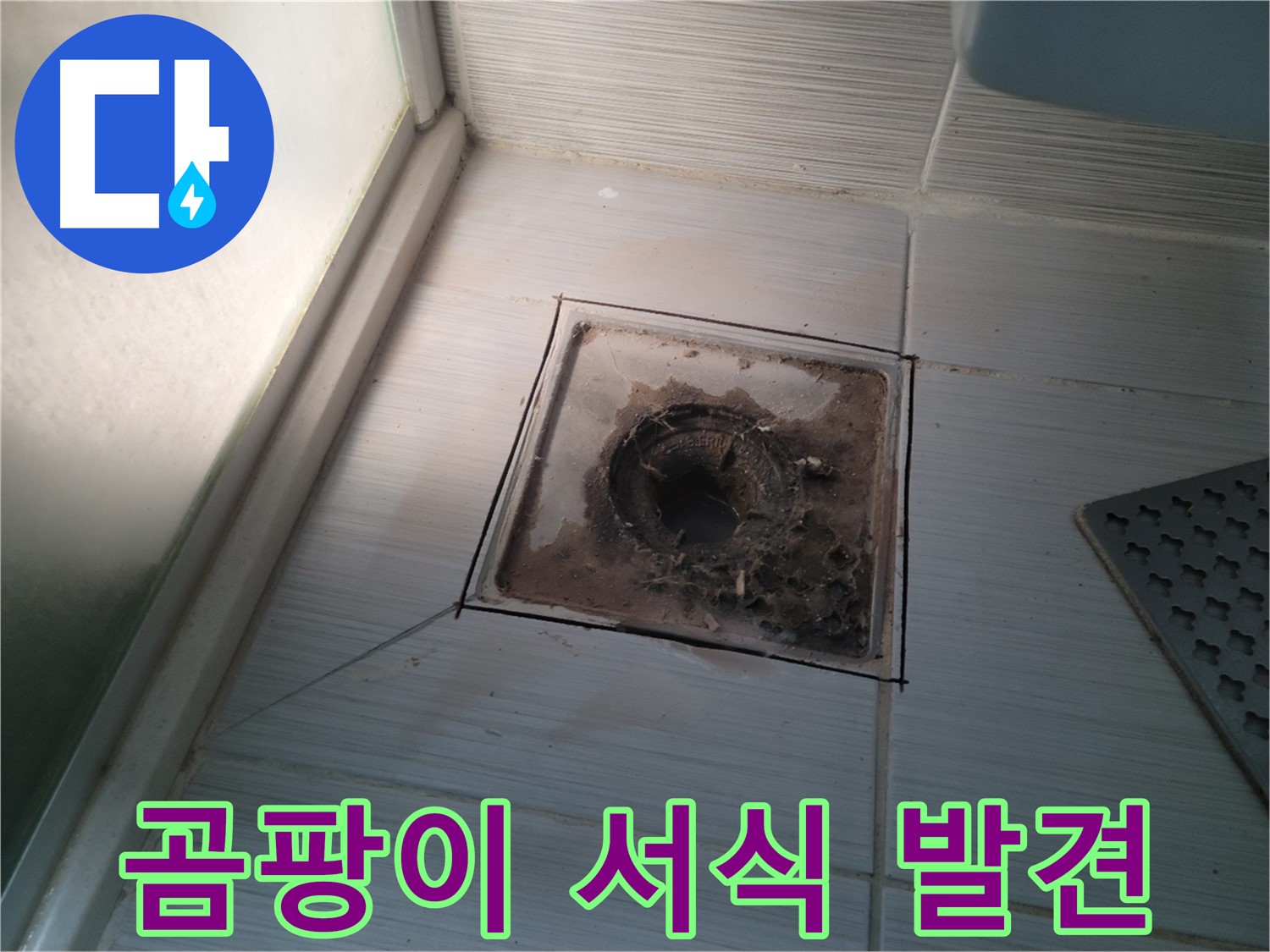 신창비바패밀리 욕실 배수구 - 곰팡이 서식 환경 발견!