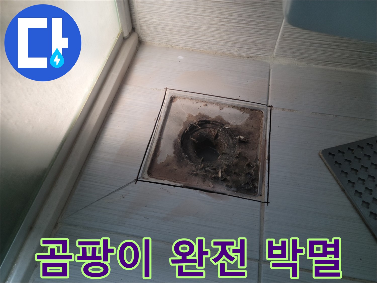 신창비바패밀리 욕실 배수구 주변 - 곰팡이 완전 박멸 완료!