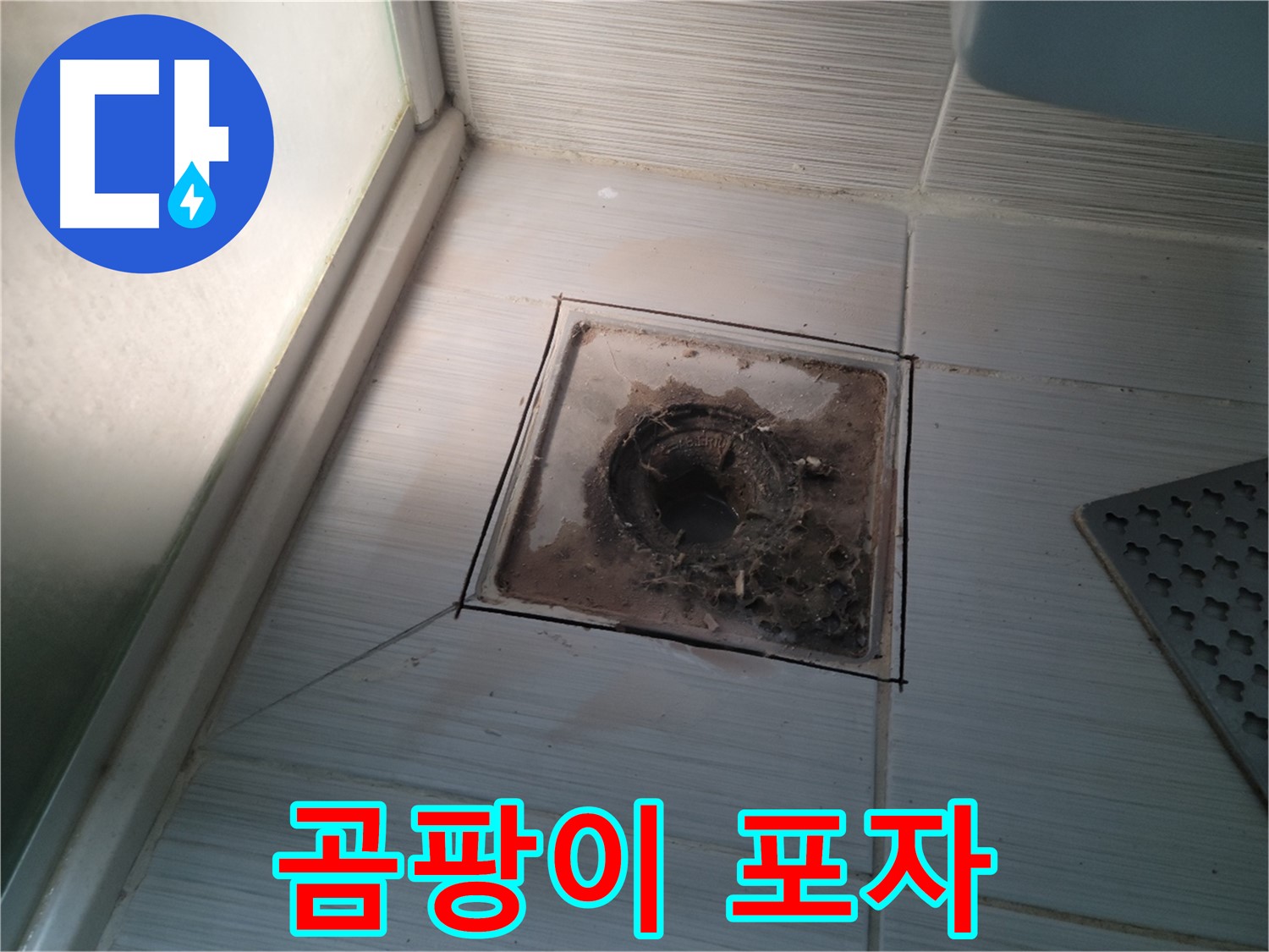 신창비바패밀리 욕실 배수구 주변 - 곰팡이 포자 주의보 발령! 건강에 해로워요!