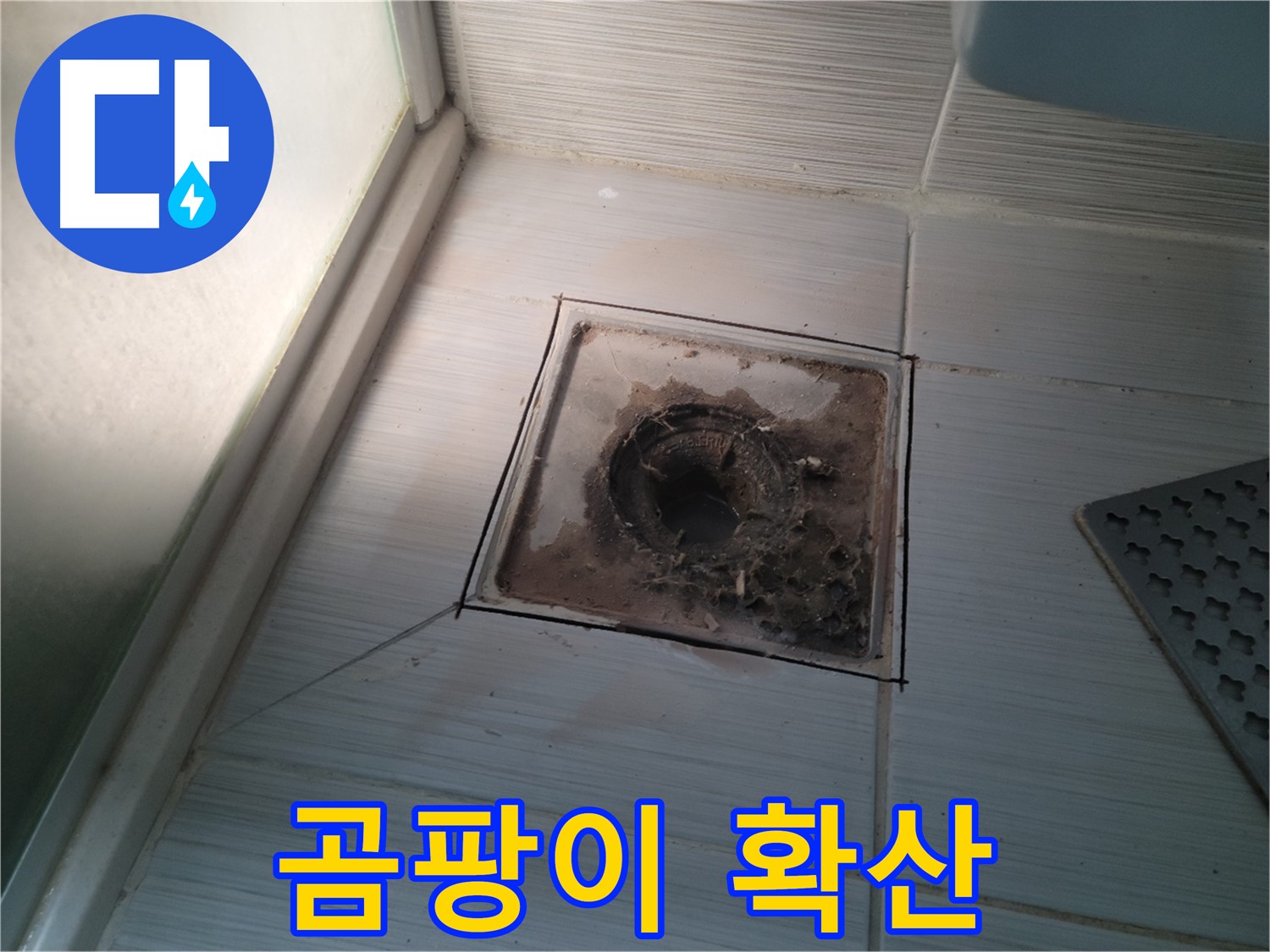 신창비바패밀리 욕실 배수구 주변 - 곰팡이 확산 중! 건강에 해로워요!