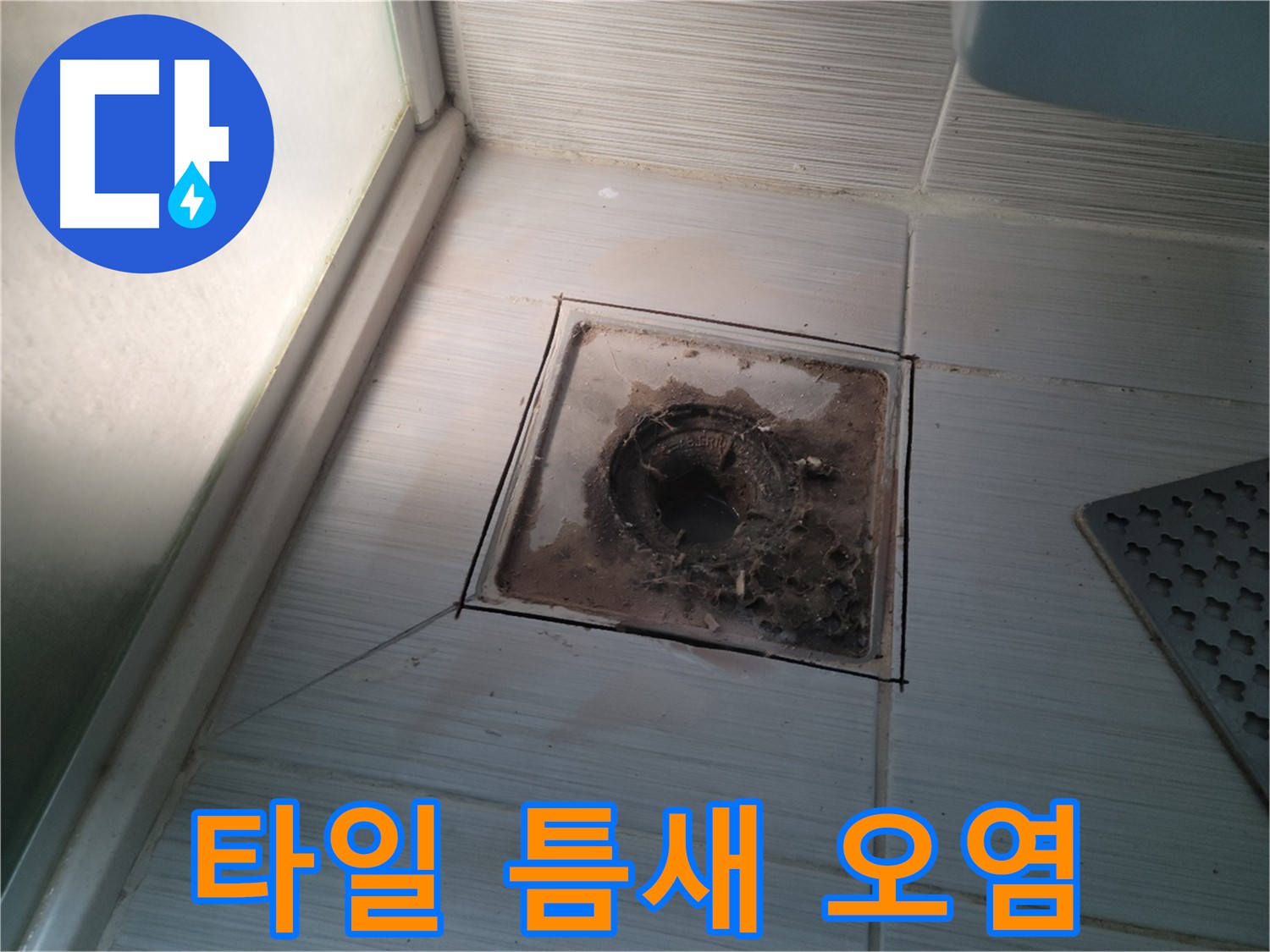 신창비바패밀리 욕실 배수구 주변 - 타일 틈새 오염 확인 및 누수 위험