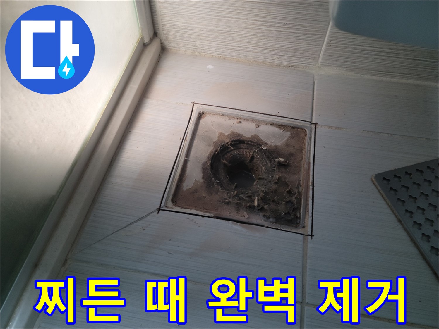 신창비바패밀리 욕실 배수구 - 찌든 때 완벽 제거 완료!