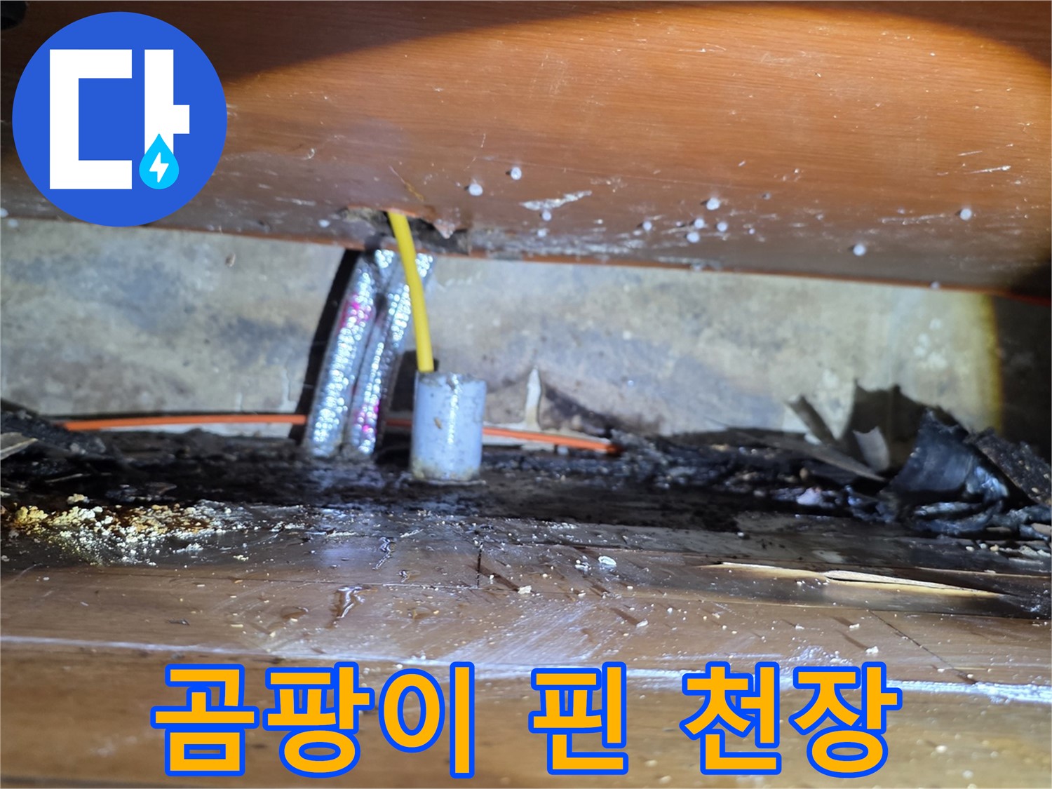 양천구 누수 - 곰팡이 핀 천장, 누수 흔적 발견