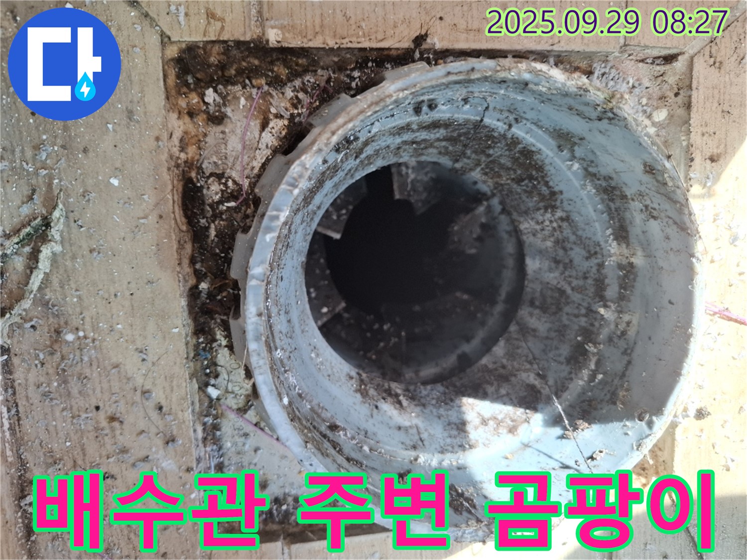 양주시 광적면 우고리 - 배수관 주변 곰팡이 발생 원인 및 해결책 제시