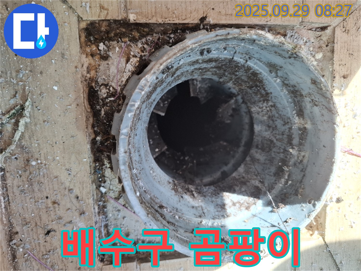 양주시 광적면 우고리 - 배수구 주변 곰팡이 발생, 건강에 해로운 영향