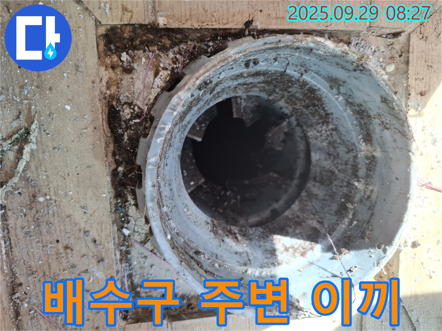 양주시 광적면 우고리 - 배수구 주변 이끼 발생으로 인한 누수 의심