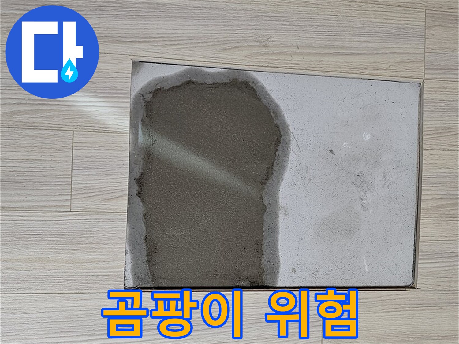도봉구 도봉동 현대시티 - 마루 철거 후 습기, 곰팡이 발생 위험 경고