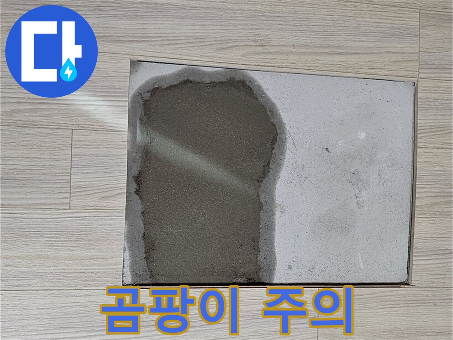 도봉구 도봉동 현대시티 - 마루 철거 후 습기, 곰팡이 발생 주의