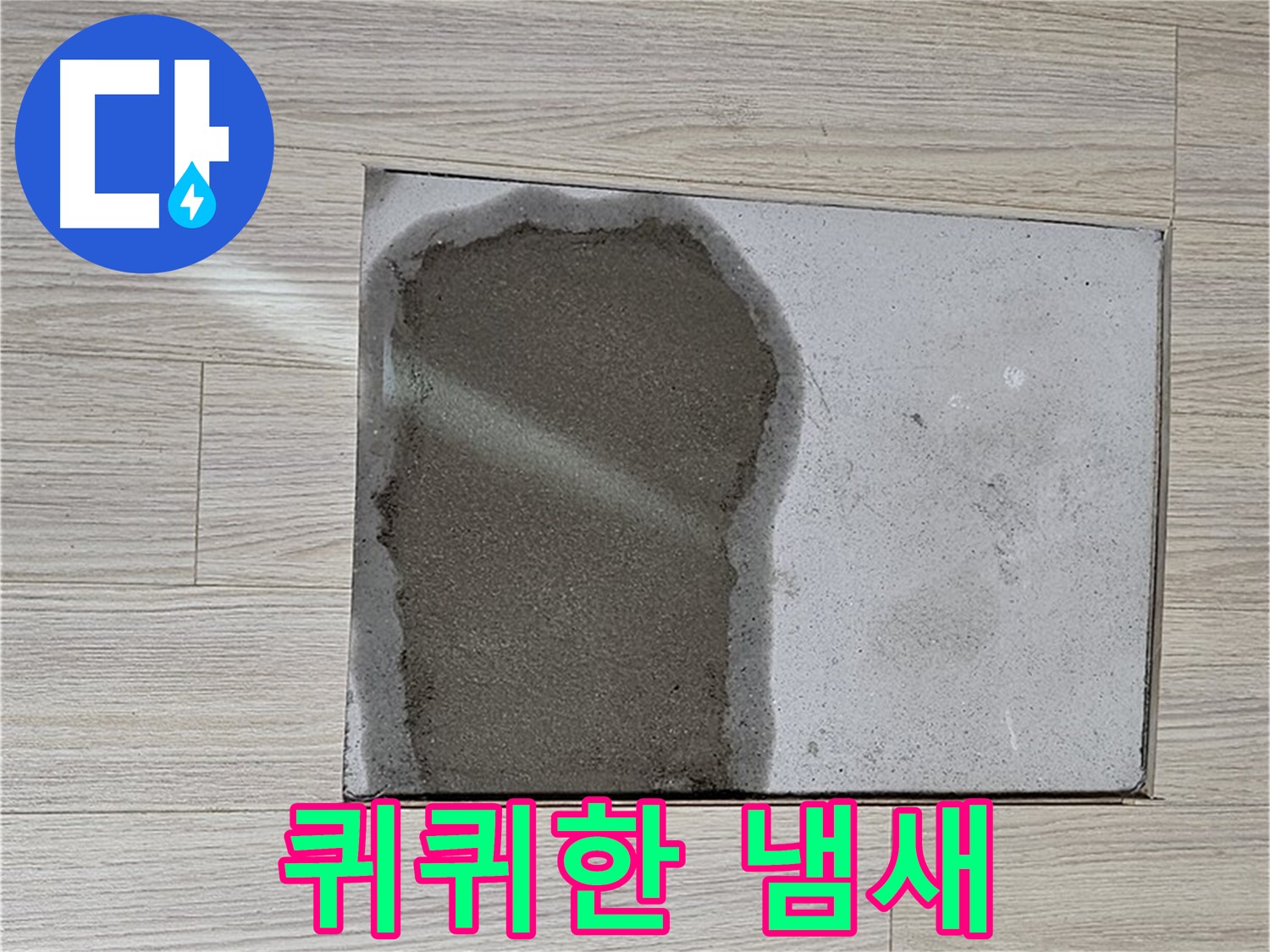 도봉구 도봉동 현대시티 - 마루 철거 후 콘크리트 습기, 퀴퀴한 곰팡이 냄새