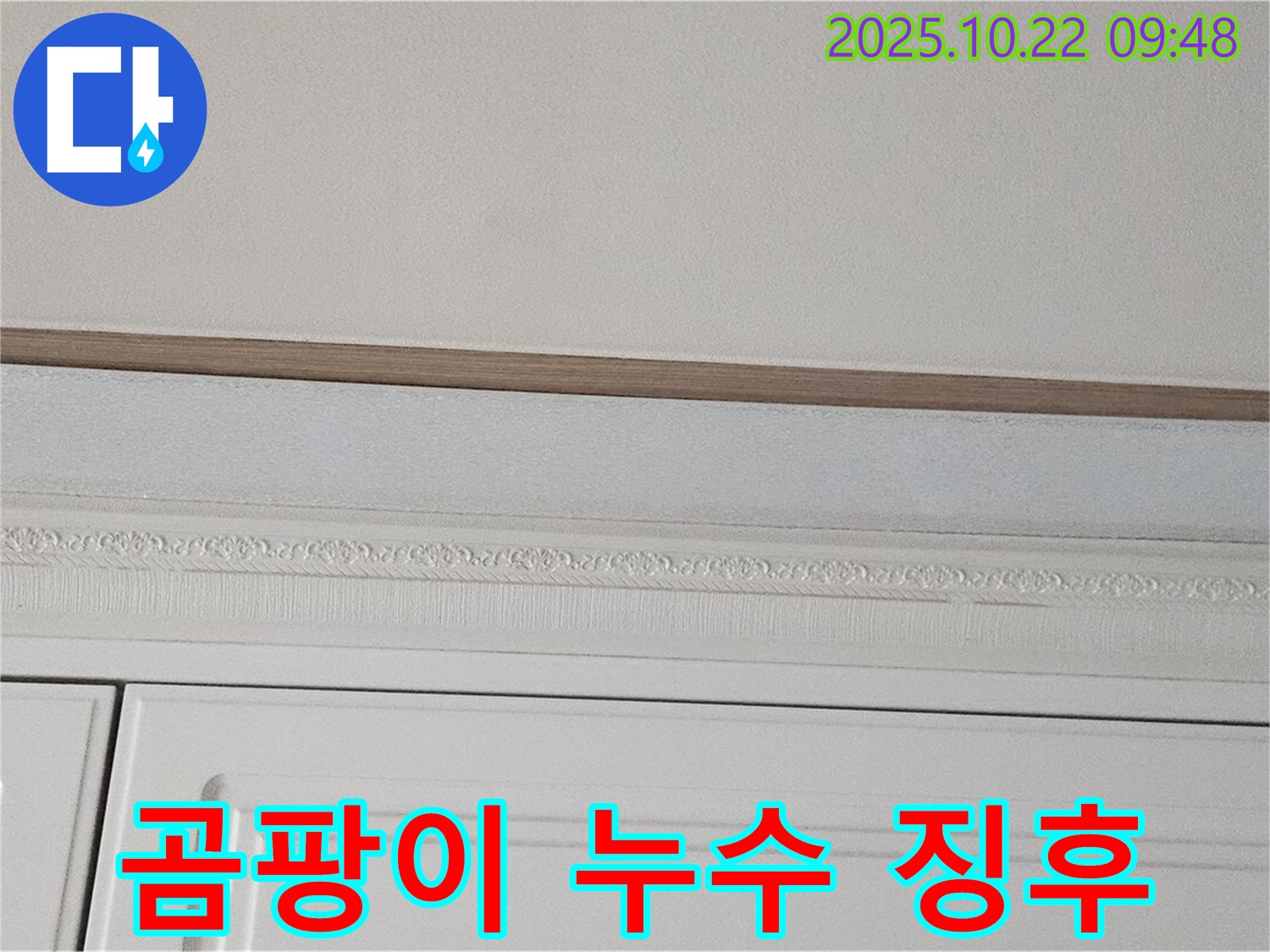 도봉구 현대시티 누수 - 곰팡이 핀 석고보드, 누수의 징후일 수 있습니다.