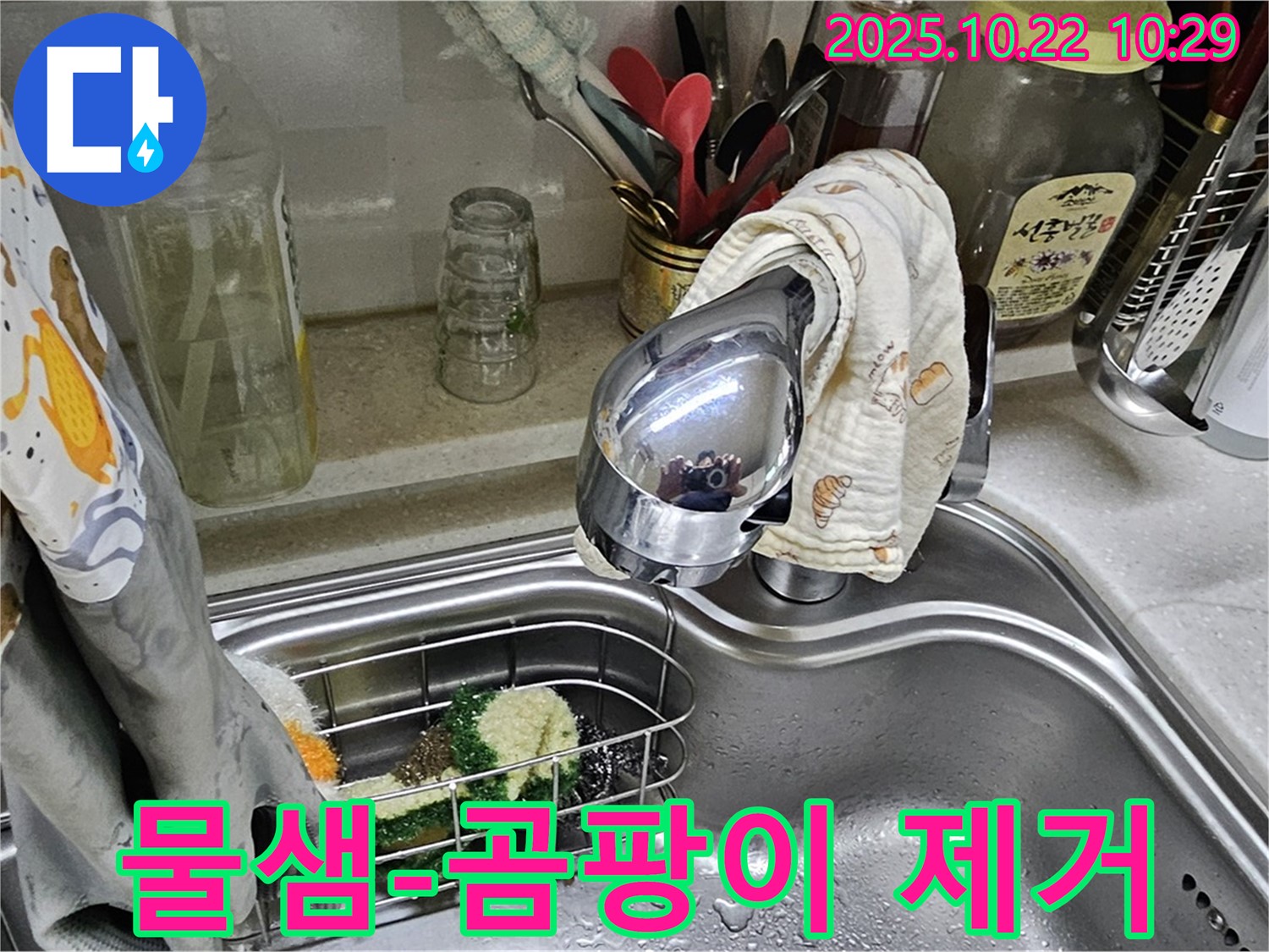 도봉동 현대시티 아파트 싱크대 아래 물샘 - 누수 해결과 함께 곰팡이까지 말끔하게 제거해 드립니다.