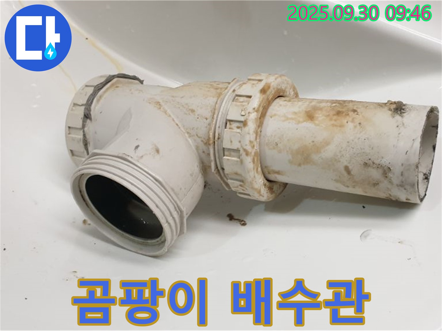 양주 광적면 석우리에서 곰팡이 핀 세면대 배수관, 세척만으로 해결될지 고민입니다.