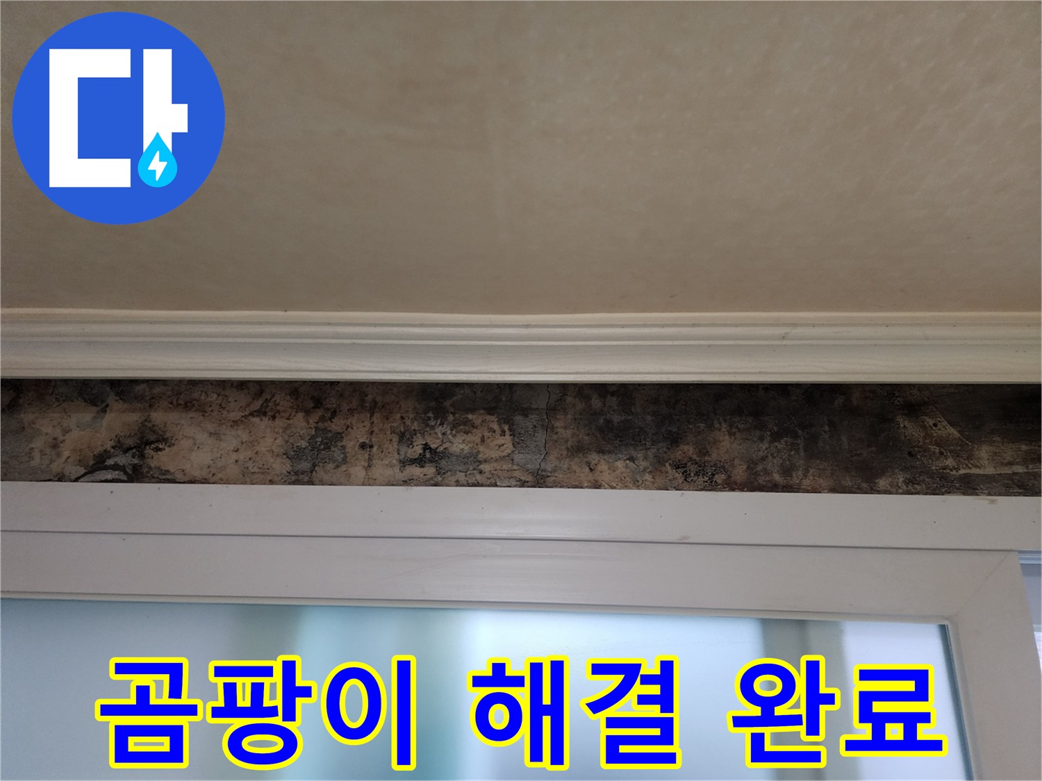 공릉동 누수 해결 - 곰팡이 창궐 원인 차단 및 완벽 방수 시공