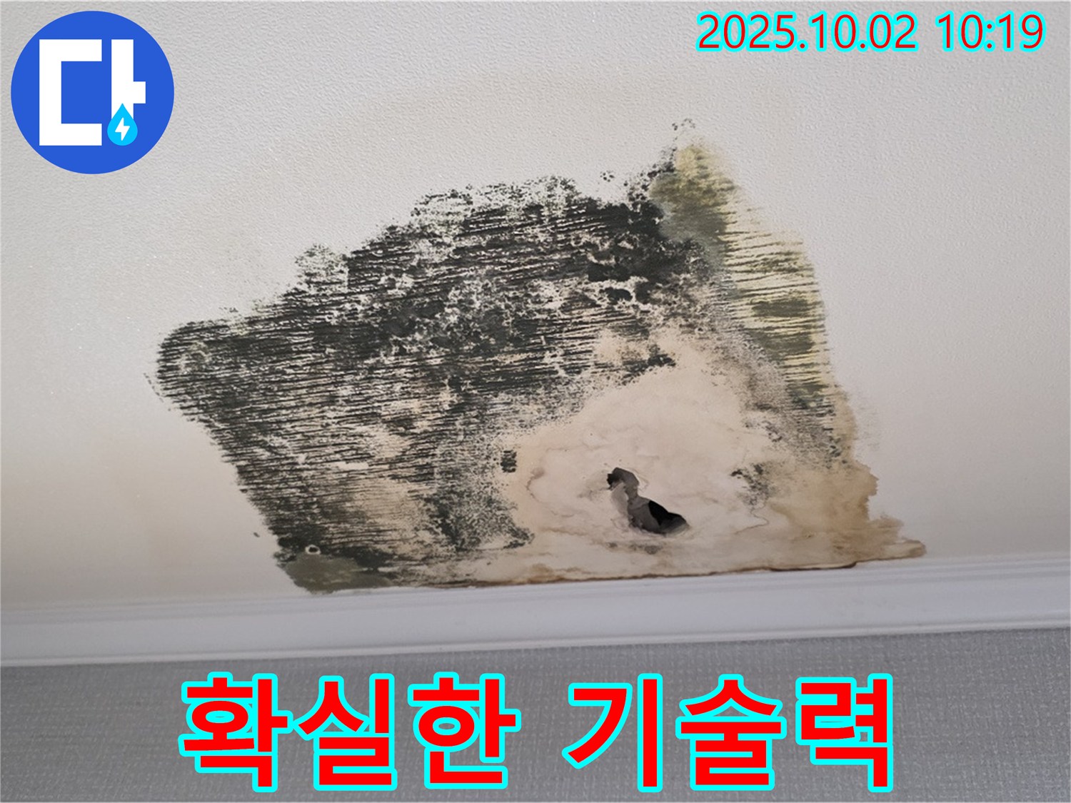 양주시 남면 신산리 주택 누수와 곰팡이 문제, 확실한 기술력으로 해결해 드립니다! - 믿고 맡길 수 있는 전문가!