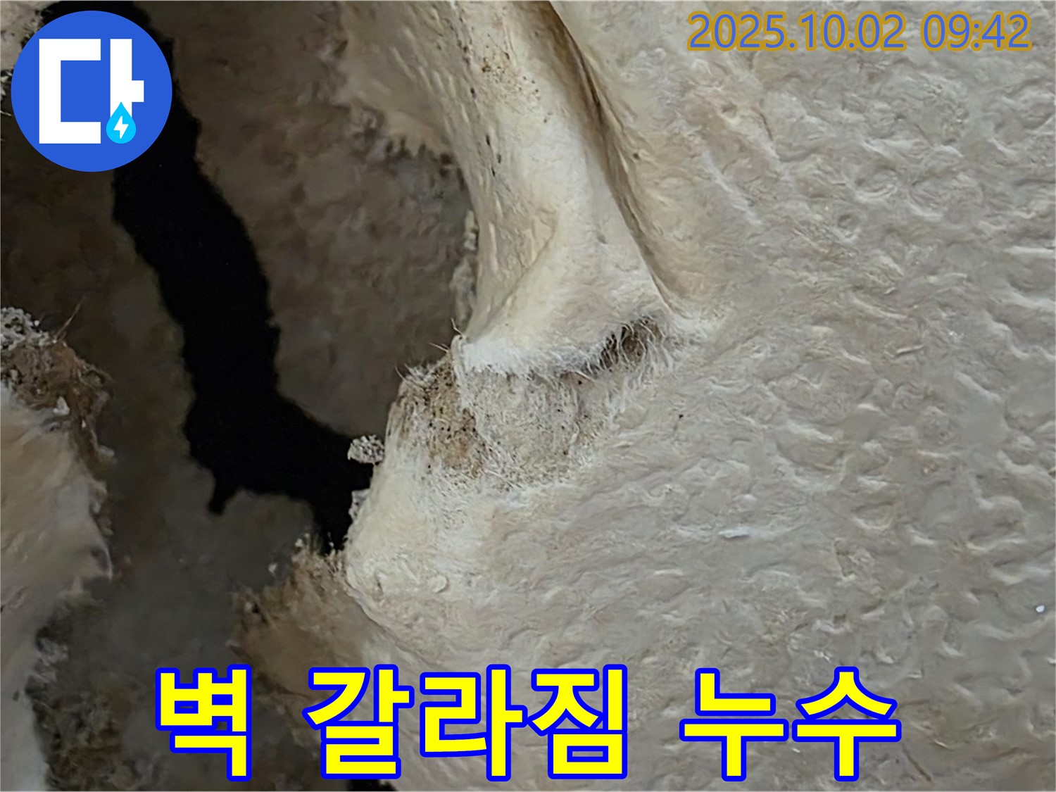 양주시 남면 신산리 주택 벽 갈라짐 - 누수로 인해 벽에 금이 가고 갈라지는 현상은 건물 안전에 위험 신호입니다.