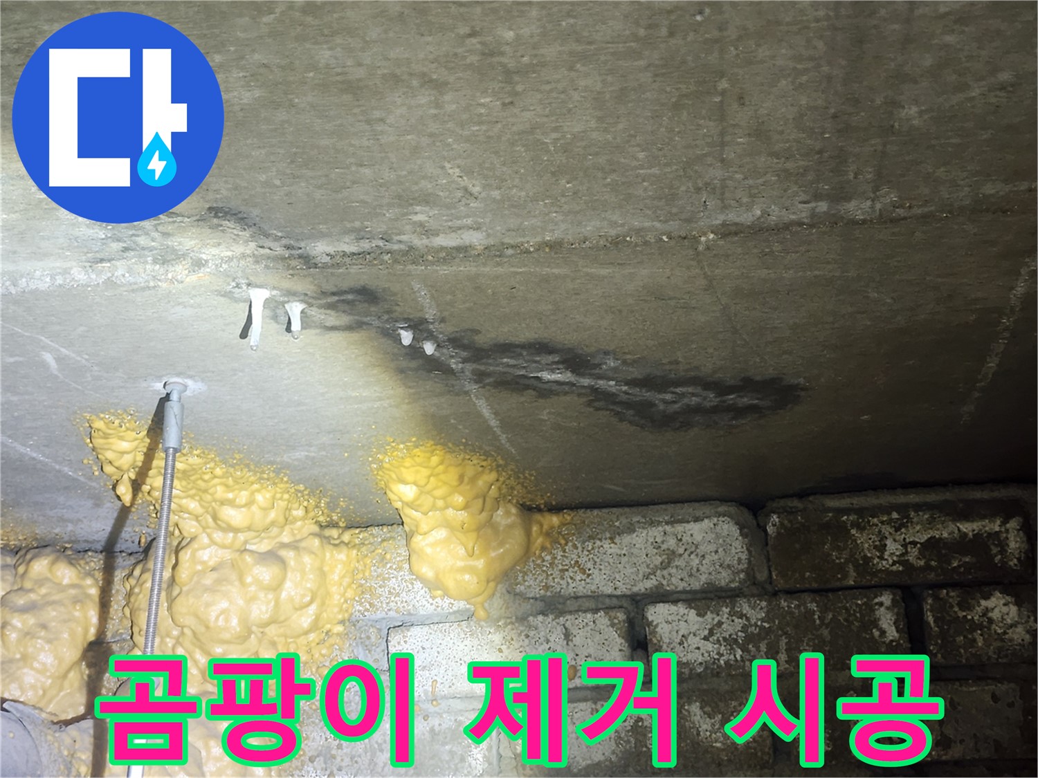 당산동 아파트 누수 - 변색 부위 곰팡이 제거 후 곰팡이 방지 시공 및 정기적인 환기 중요