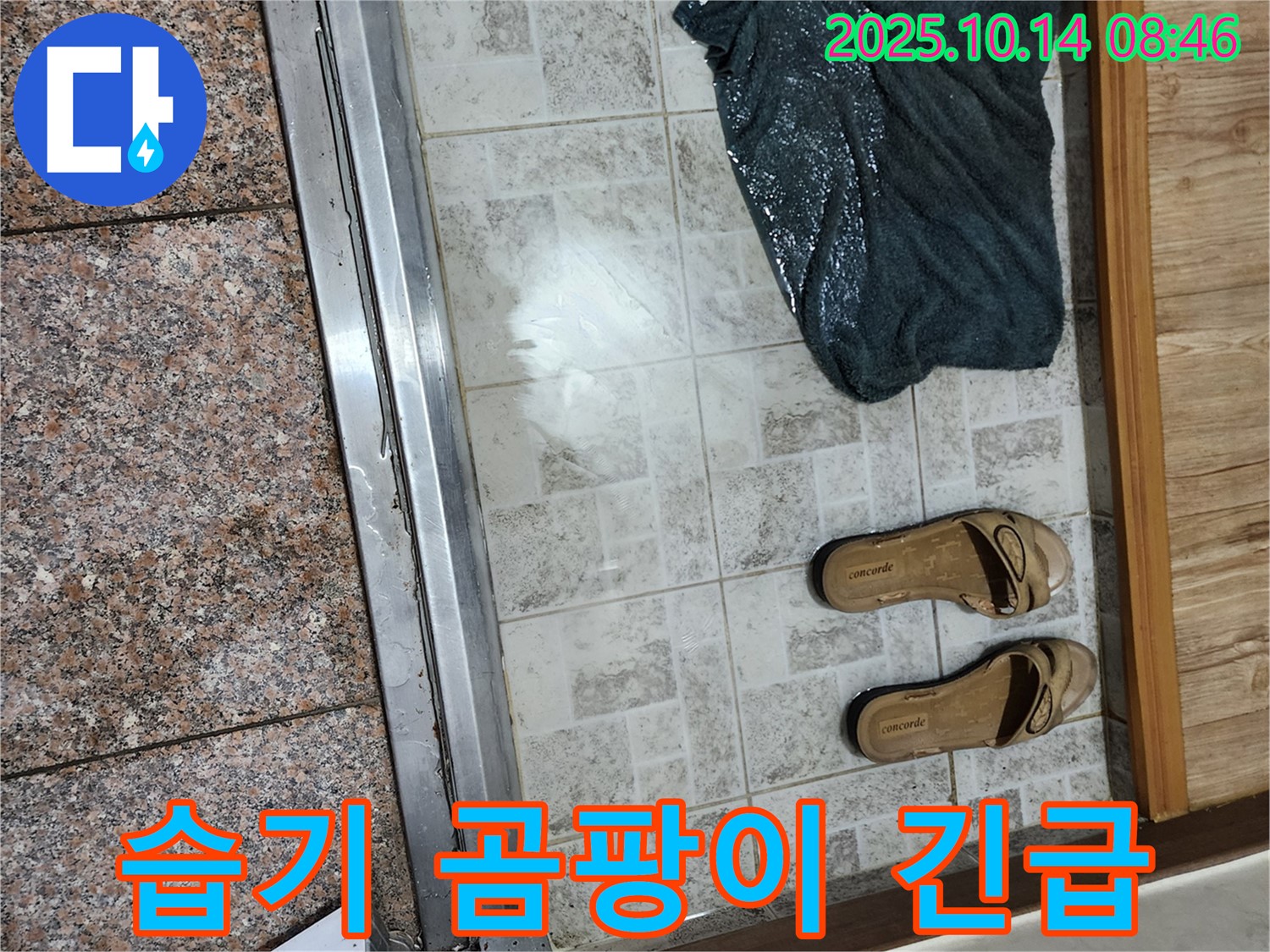 양주 누수탐지 - 현관 앞 습기와 함께 곰팡이 포자가 날아다닌다면 매우 긴급한 상황입니다.