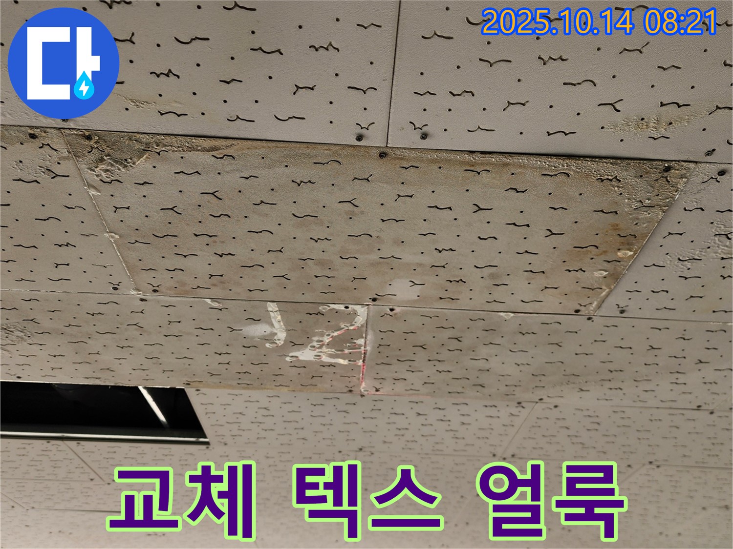 양주 두곡리 텍스 천장 누수 - 교체된 텍스 주변의 누수 얼룩