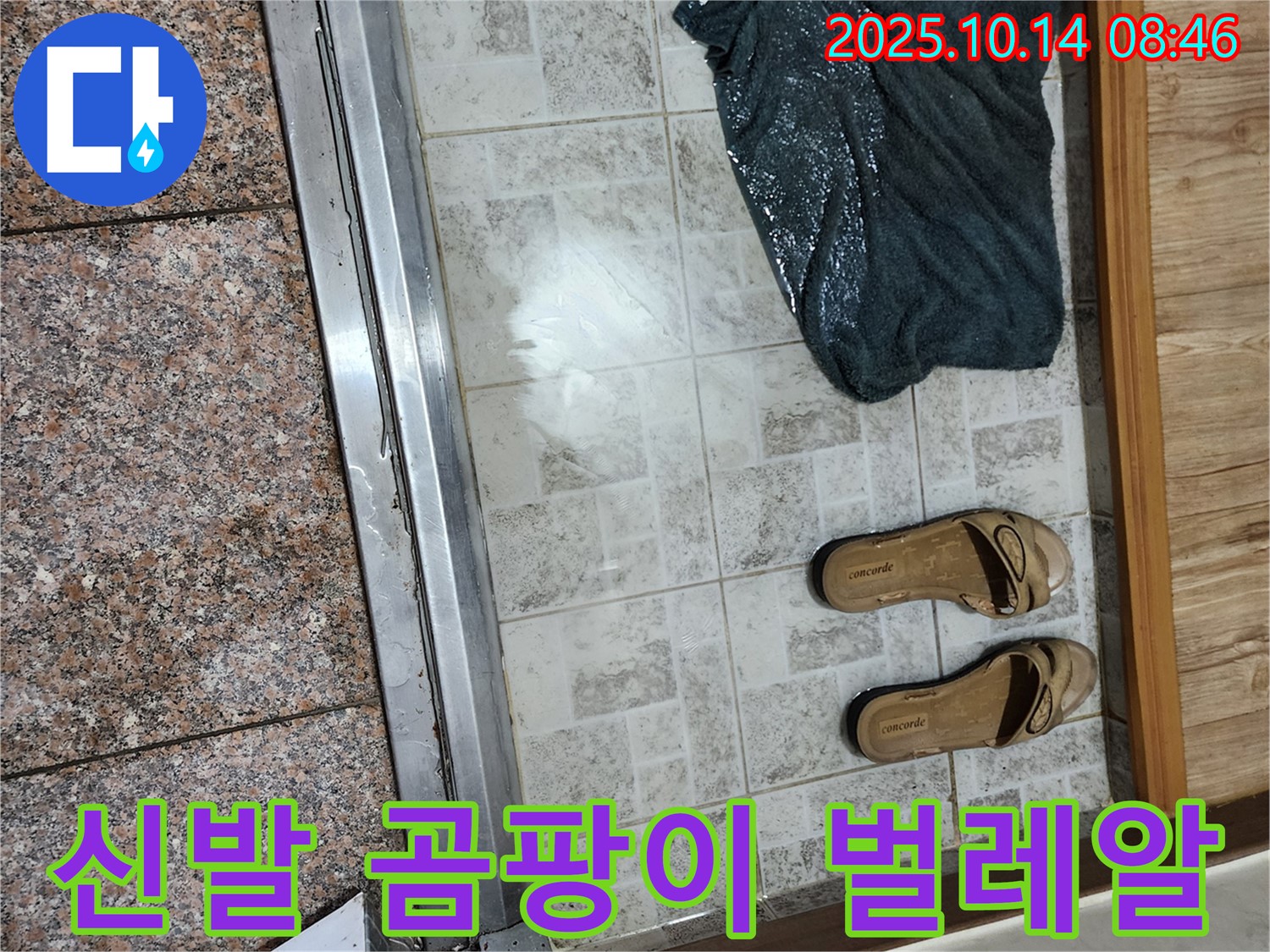 양주시 남면 누수 점검 - 현관 앞 젖은 신발에 곰팡이와 함께 벌레 알까지 발견된다면 긴급 점검이 필요합니다.