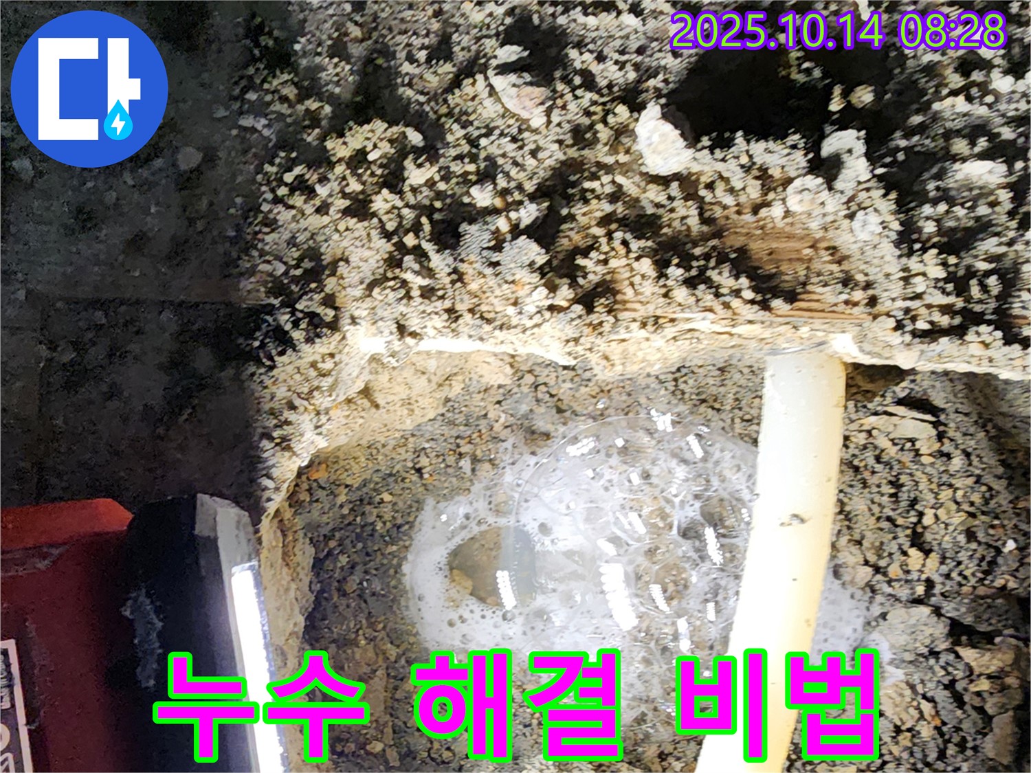 양주시 남면 두곡리 누수 현장에서 누수 해결 비법을 보여주는 모습 - 누수 탐지부터 시공까지 완벽하게 해결합니다.