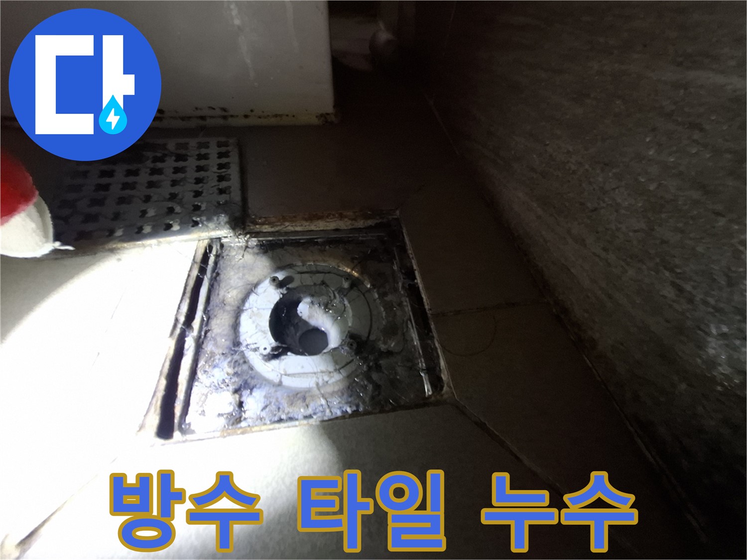 경기 성남 봇들마을 욕실 방수층 손상 - 누수 진단, 타일 들뜸과 함께 정밀하게