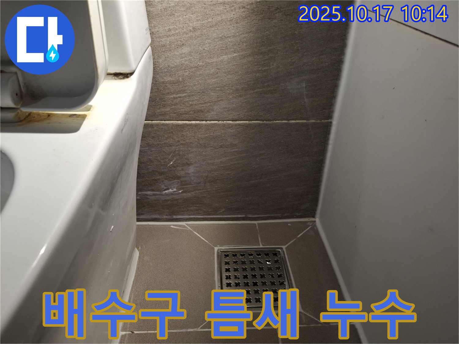 배수구 주변 타일 틈새 누수 진단 - 세심한 관찰로 문제점 발견