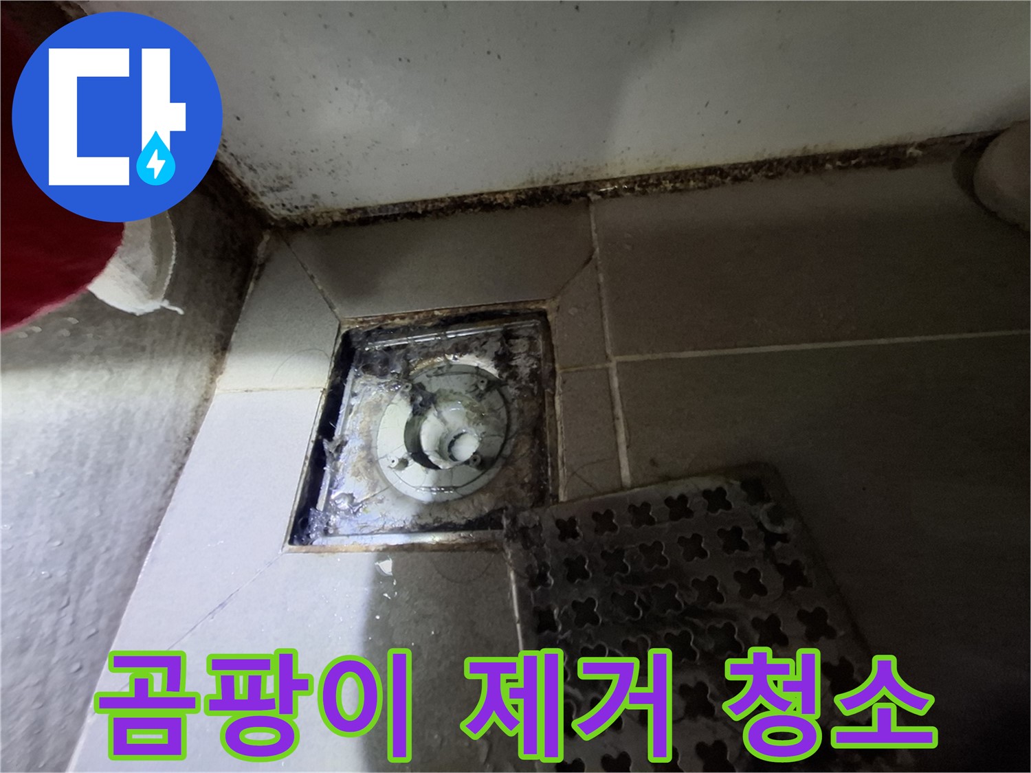 봇들마을2단지 아파트 욕실 - 곰팡이 제거 및 청소 서비스 제공