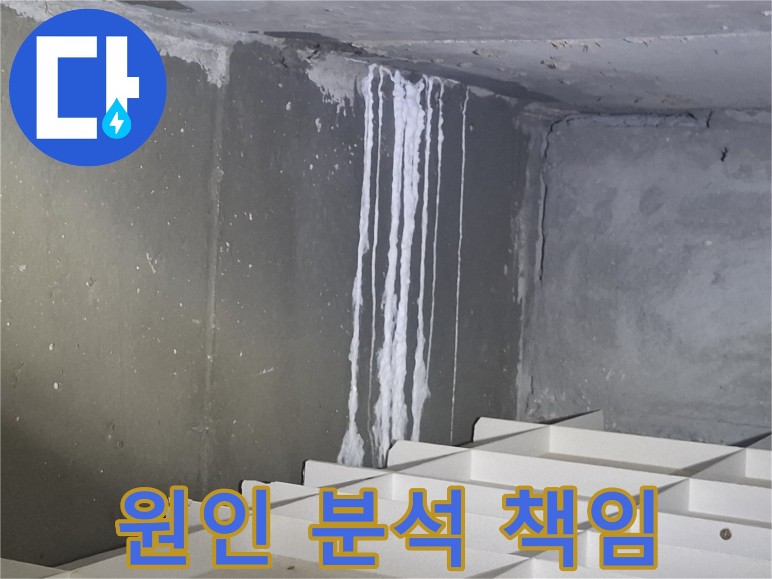 봇들마을2단지 아파트 - 지하 석회 누수, 원인 분석부터 완벽 해결까지 책임!