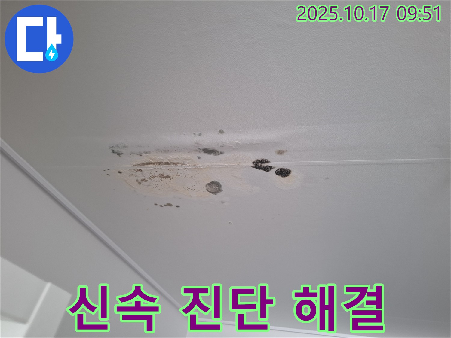 분당 누수 - 곰팡이 얼룩 심한 천장 - 신속한 진단과 맞춤 해결책을 제공합니다