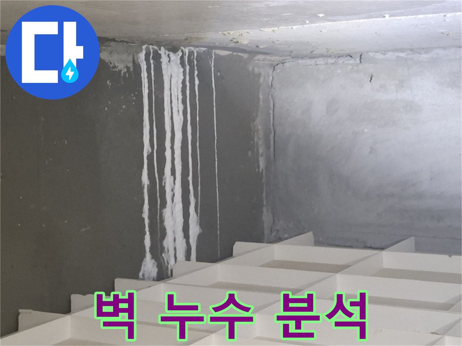 분당 누수 전문가의 삼평동 아파트 누수 해결 - 벽 누수, 하얀 결정체 원인 완벽 분석